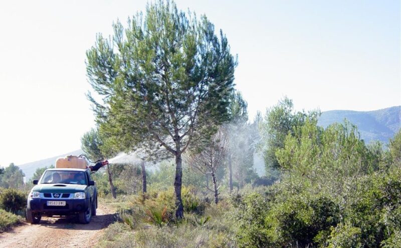 La Generalitat intensifica los trabajos para el control de plagas en los montes de la Comunitat Valenciana