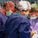 El Hospital La Fe registra un incremento del 30,5 % de trasplantes y un 50 % más de donaciones de órganos