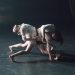 El Festival Internacional de Artes Escénicas de Alicante FRESCA! afronta su recta final con flamenco, circo y danza