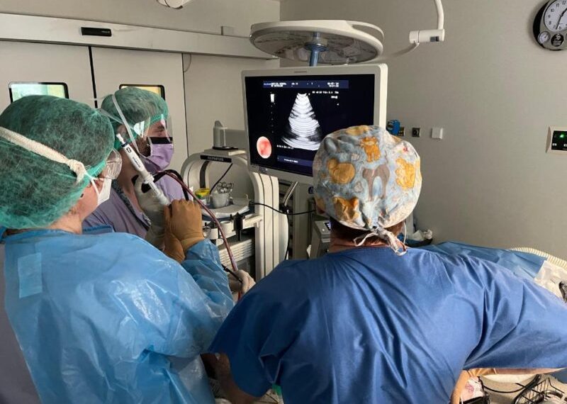 El Servicio de Neumología del Hospital General de Castellón incorpora la técnica del crioEBUS para el diagnóstico de cáncer