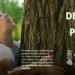 La Generalitat Valenciana celebra el próximo 5 de Junio el día mundial del Medio Ambiente