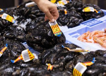 Mercadona compra más de 210 toneladas de clóchina valenciana en 2024