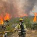 La Conselleria de Justicia e Interior licita la compra de seis autobombas para el Servicio de Bomberos Forestales