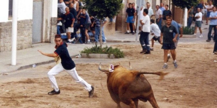 Justicia recuerda a los organizadores de festejos taurinos que pueden presentar sus solicitudes a través de la nueva aplicación ‘Bous-Web’