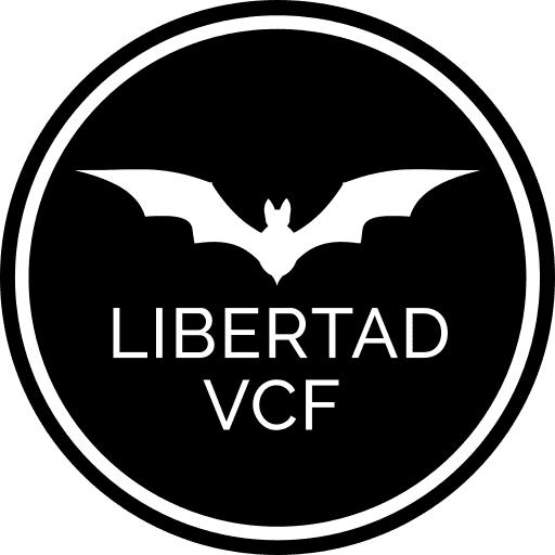 Asociación Libertad VCF : Sobre Mestalla