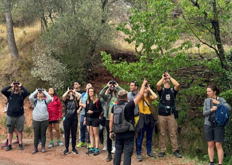 Éxito de asistencia en Gátova a la Jornada  de observación de aves, ‘Birding en el Interior’