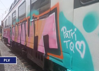 La Policía Local de Valencia sorprende a dos jóvenes que estaban realizando grafitis en vagones de Renfe