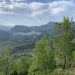 Jesús Salmerón : «#STOP incendios. Una llamada desde Gátova, en el Corazón de la Sierra Calderona».