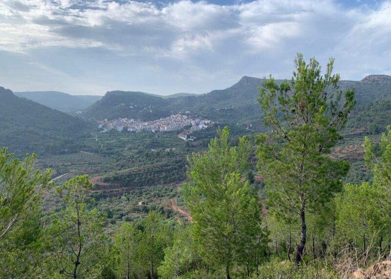 Jesús Salmerón : «#STOP incendios. Una llamada desde Gátova, en el Corazón de la Sierra Calderona».