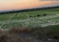  AVA-ASAJA insiste en compensaciones: “Si queremos un parque natural en el que convivan fauna y agricultura, eso tiene un coste y hay que compensar a los afectados”