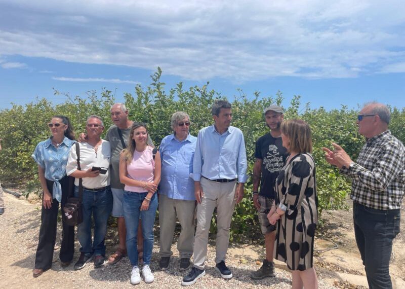 Mazón “estamos a favor de las energías renovables, pero no de las salvajadas que quiere imponer el gobierno de Sánchez”