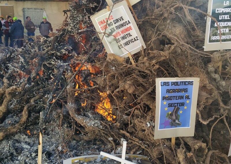 Cristobal Aguado: Hoy es el Día Mundial de la Agricultura. No es solamente el día de los agricultores y ganaderos; es el día de toda la sociedad, porque no conozco a nadie que viva sin comer.