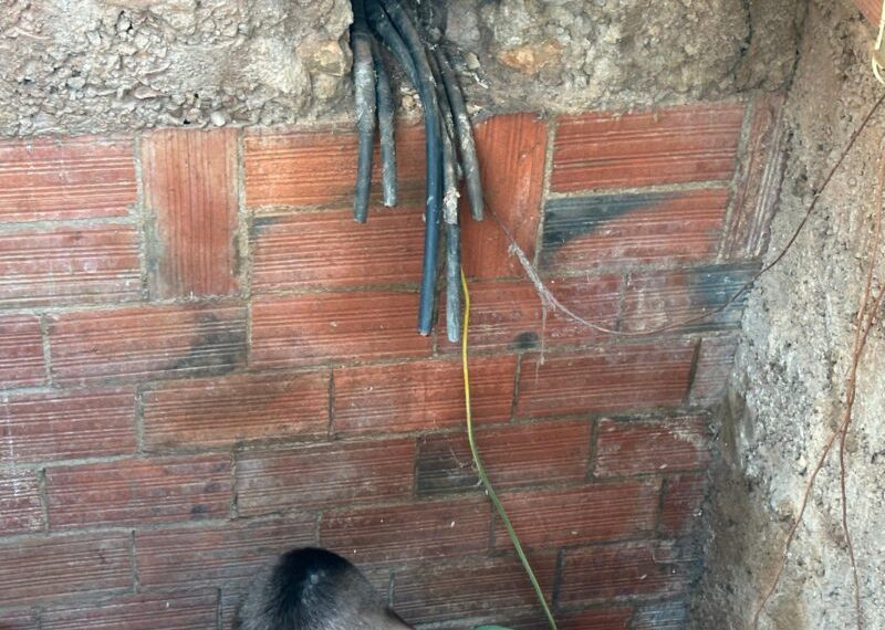 AVA-ASAJA demanda mayor vigilancia tras tres nuevos asaltos a pozos en Rafelbunyol