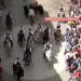 275.000 espectadores viero por À Punt la Entrada de Toros y Caballos de Segorbe