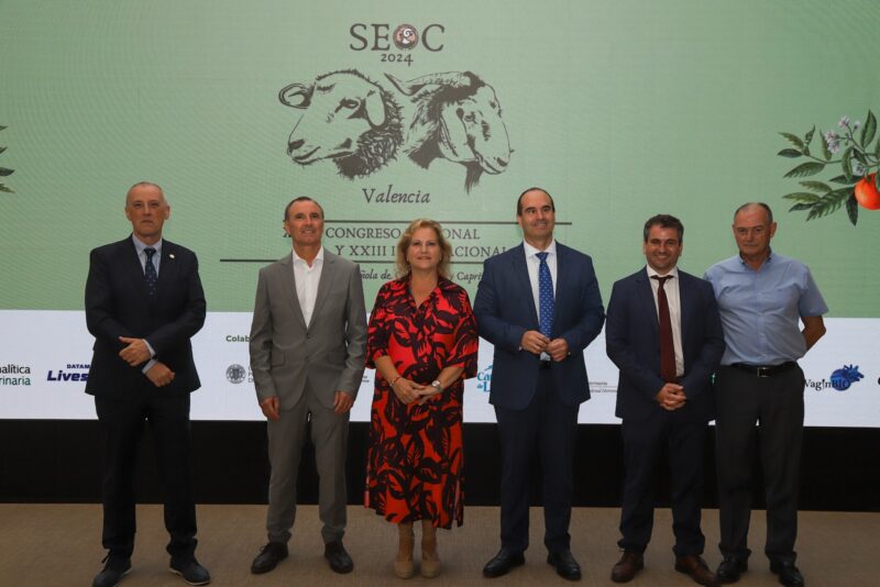 Más de 200 veterinarios y técnicos del ovino y caprino participan el Congreso de la SEOC en la CEU UCH