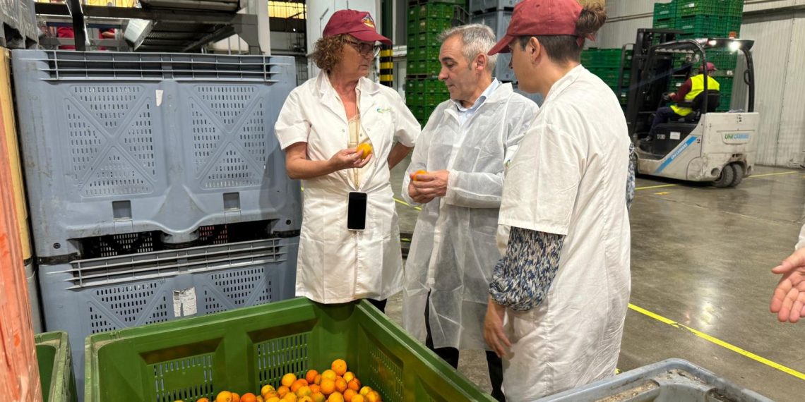 Mujeres emprendedoras en el sector primario