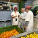 Mujeres emprendedoras en el sector primario