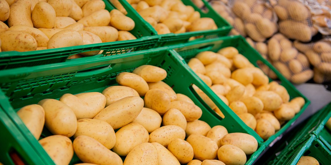Mercadona prepara la campaña de invierno de patata nacional, que arrancará a principios de 2025