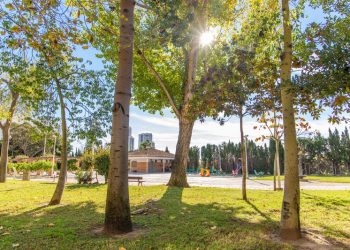 Cullera obtiene la máxima distinción en el cuidado de espacios verdes y zonas ajardinadas