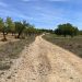 La Diputació de Valencia aprueba la subvención para mejorar la carretera que une el Rincón de Ademuz y la provincia de Cuenca