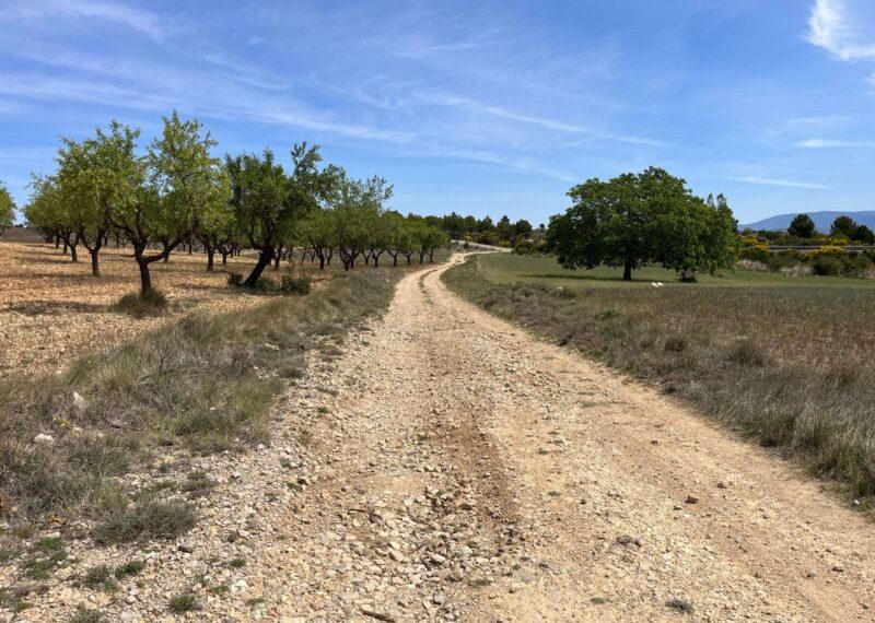 La Diputació de Valencia aprueba la subvención para mejorar la carretera que une el Rincón de Ademuz y la provincia de Cuenca