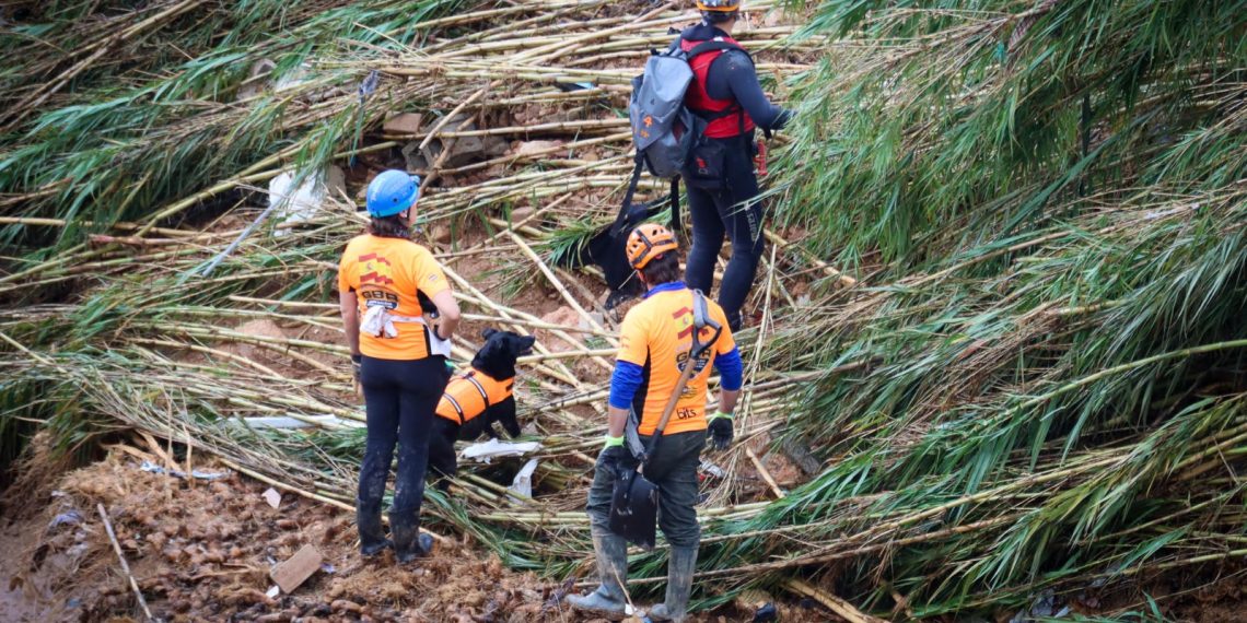Operativo de búsqueda de desaparecidos de la DANA en Torrent