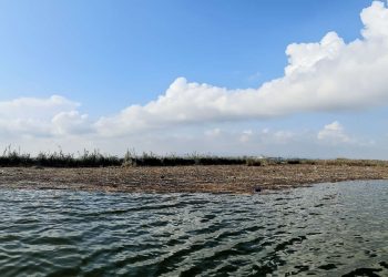 El Ayuntamiento de València evalúa los daños sobre el nivel del agua de l’Albufera