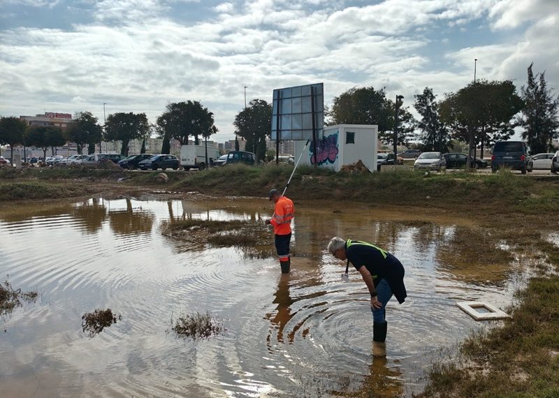 El Ayuntamiento de València pone en marcha un plan intensivo de control de plagas en las pedanías afectadas por la DANA