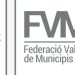 La Federación Valenciana de Municipios y Provincias coordina la ayuda de los municipios para damnificados por la DANA.