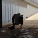 Traslado de obras de arte y documentos en los almacenes de Riba-roja para valorar los daños