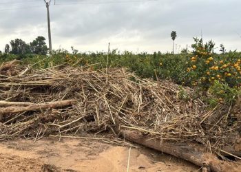 Barrachina: “El prohibicionismo de la CHJ impide a los ayuntamientos limpiar sus cauces y barrancos para minimizar el riesgo de inundaciones”