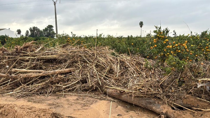 Barrachina: “El prohibicionismo de la CHJ impide a los ayuntamientos limpiar sus cauces y barrancos para minimizar el riesgo de inundaciones”