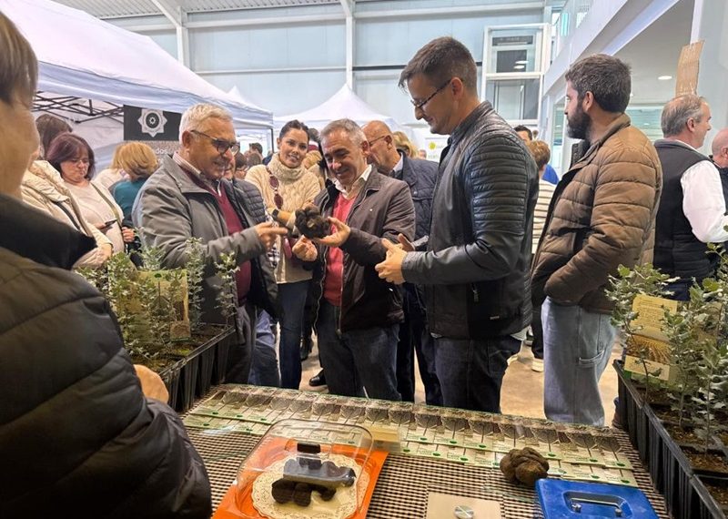 Barrachina: “Este Consell trabaja para potenciar el cultivo de la trufa en la Comunitat Valenciana”