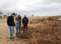 Torreblanca solicita retirar los restos que la DANA de sus playas
