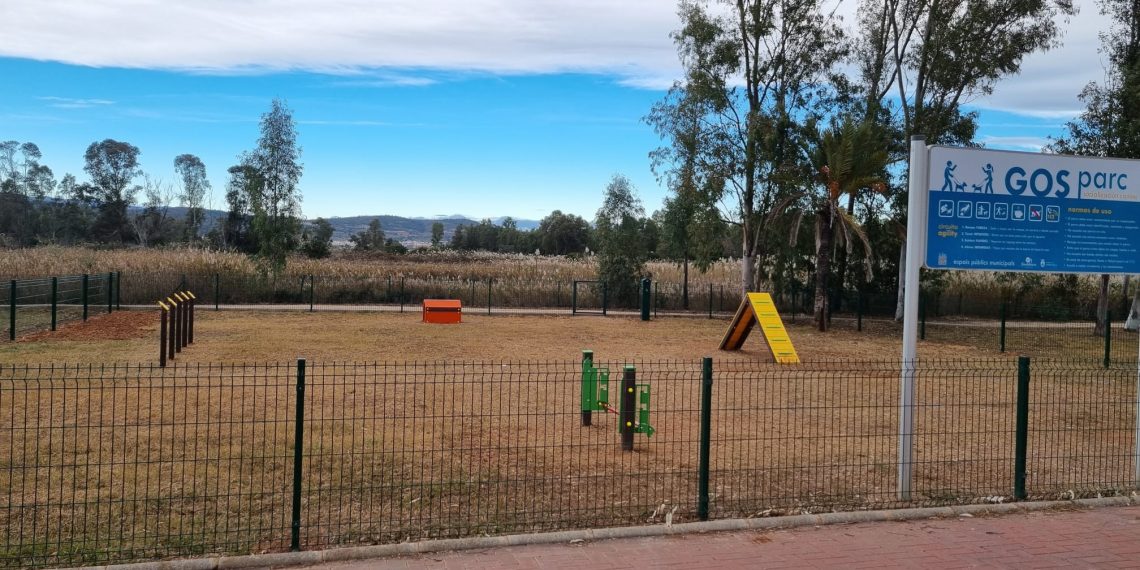 Torreblanca ha activado ya la ordenanza que permite el acceso de perros a las playas Norte y Torrenostra