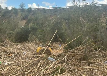 Plan Renove para reponer la maquinaria agrícola dañada por la DANA
