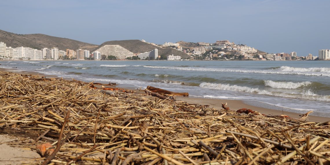 Comienza la limpieza de playas en Cullera