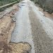 AVA-ASAJA evalúa en 15 millones de daños ocasionados por la DANA en la agricultura de Castellón