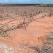 AVA-ASAJA estima que la DANA causa unas pérdidas de 1.089 millones en la agricultura valenciana