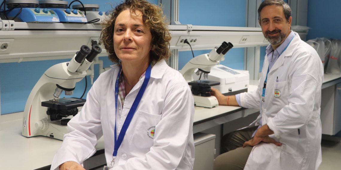 Publican nuevos hallazgos sobre el papel de la proteína tau en la progresión de la enfermedad de Alzheimer