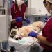 El Hospital Clínico Veterinario de la CEU UCH presta atención veterinaria a animales afectados por la DANA