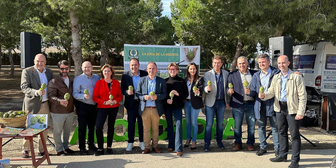 La Diputación de Alicante vuelve a mostrar su respaldo a la alcachofa de la Vega Baja por su papel “vertebrador” y por “ser seña de identidad” del territorio