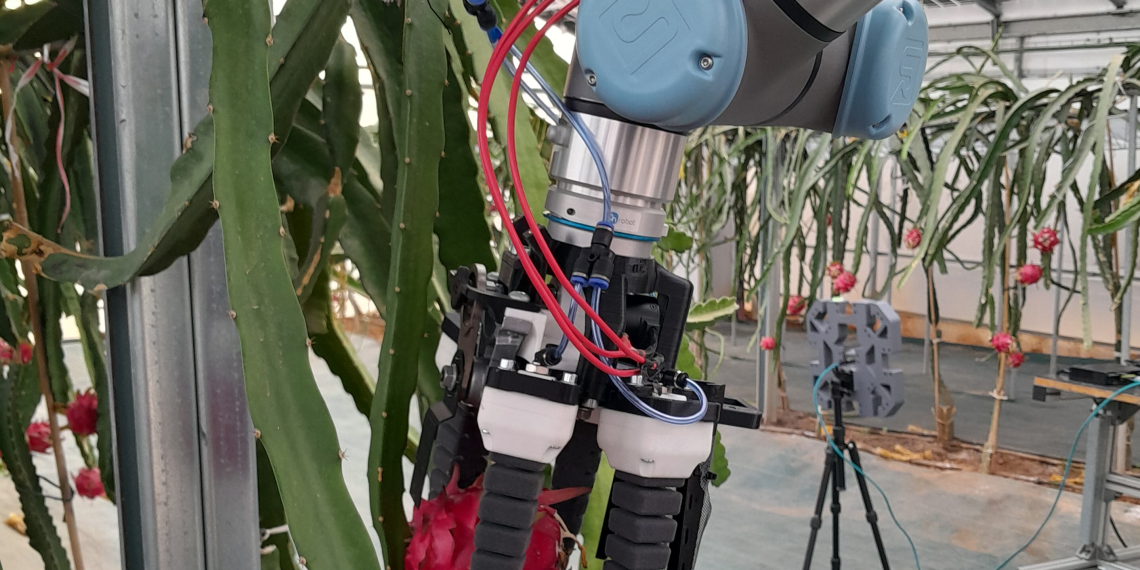 Ivace+i Innovación financia un robot inteligente para la recolección autónoma de cultivos en invernaderos