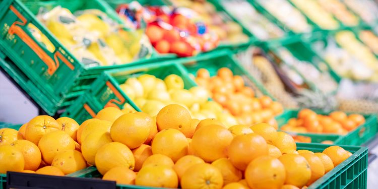 Mercadona prevé comprar 57.650 toneladas de naranja cultivada en la Comunidad Valenciana