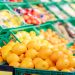 Mercadona prevé comprar 57.650 toneladas de naranja cultivada en la Comunidad Valenciana
