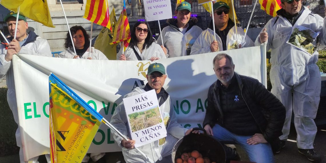 AVA-ASAJA protesta en Madrid contra las políticas agrarias
