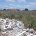 La agricultura valenciana pulveriza el récord de superficie abandonada con 176.446 hectáreas