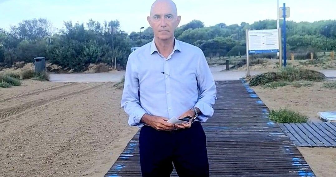 La Concejalía de Devesa-Albufera impulsa la Declaración de Arboleda Monumental del rodal maduro de la Devesa