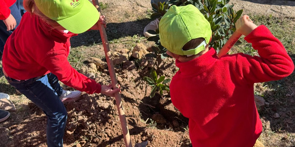 Medio Ambiente distribuye plantas de especies autóctonas con motivo del Día del Árbol