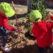 Medio Ambiente distribuye plantas de especies autóctonas con motivo del Día del Árbol